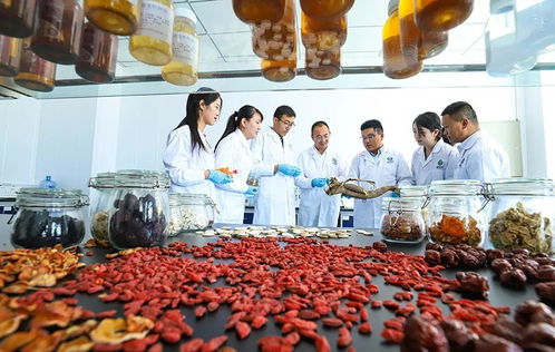 科技賦能，張掖植物工廠助力農特產品提質增效